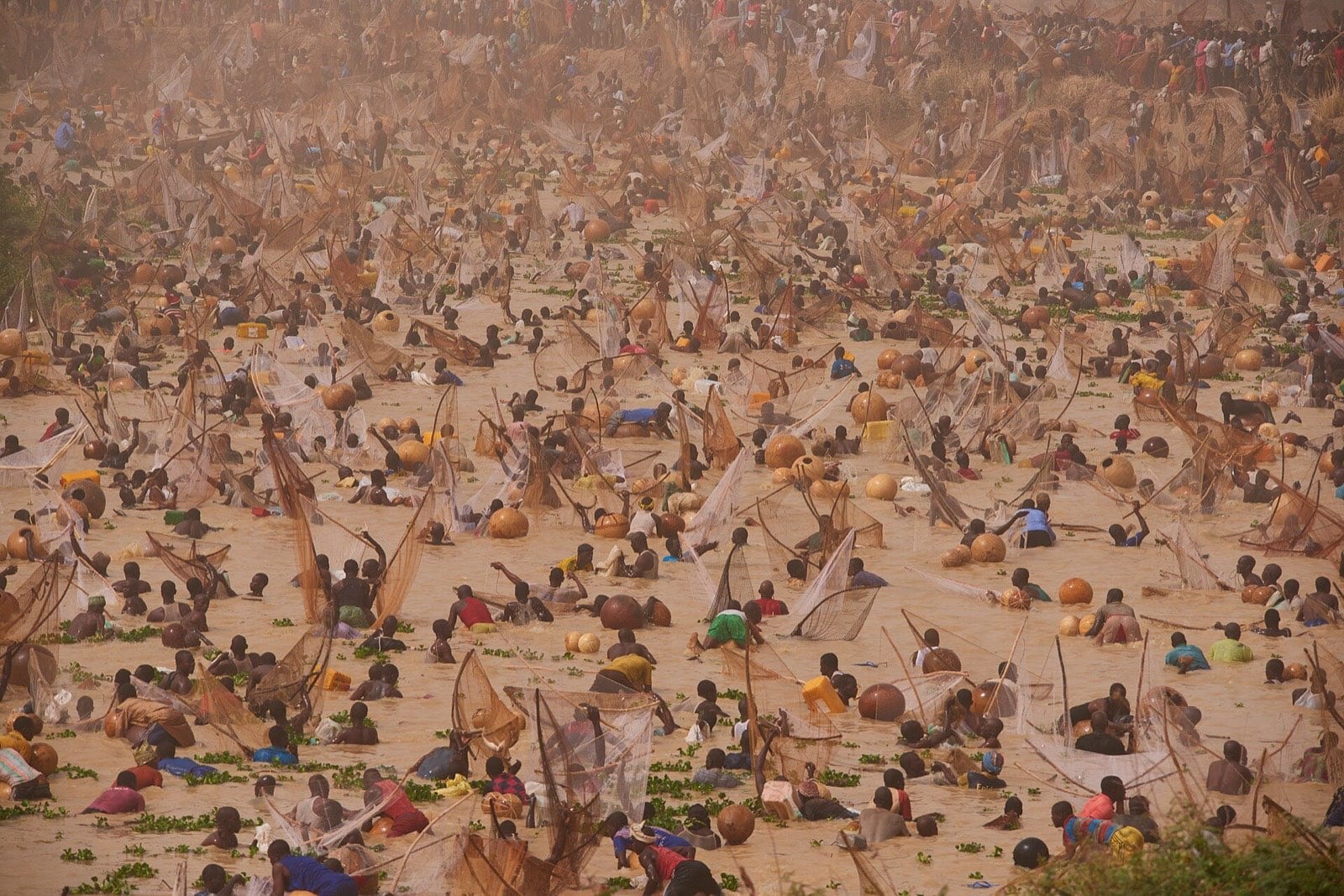 Crowds of men standing waist-deep in a river holding fishing nets.