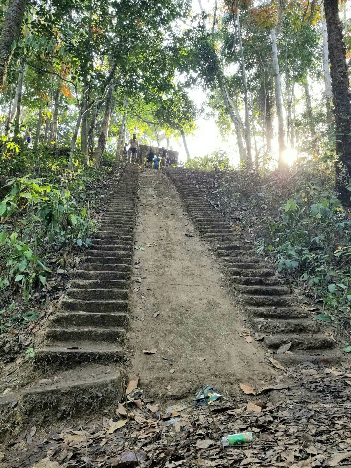 A long flight of stone steps cut down a wooded slope.