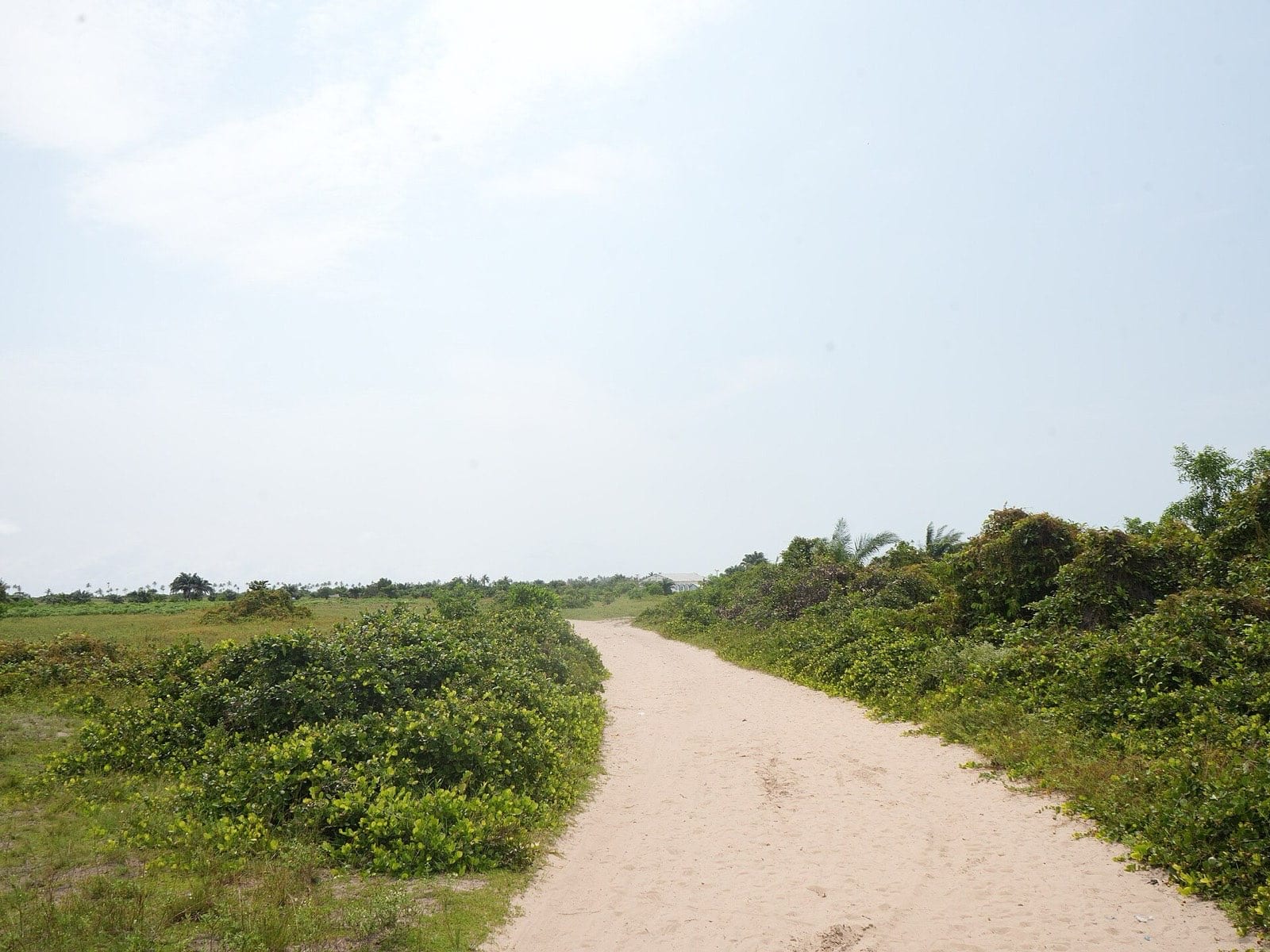 A marked stretch of the Badagry slave route running between trees.