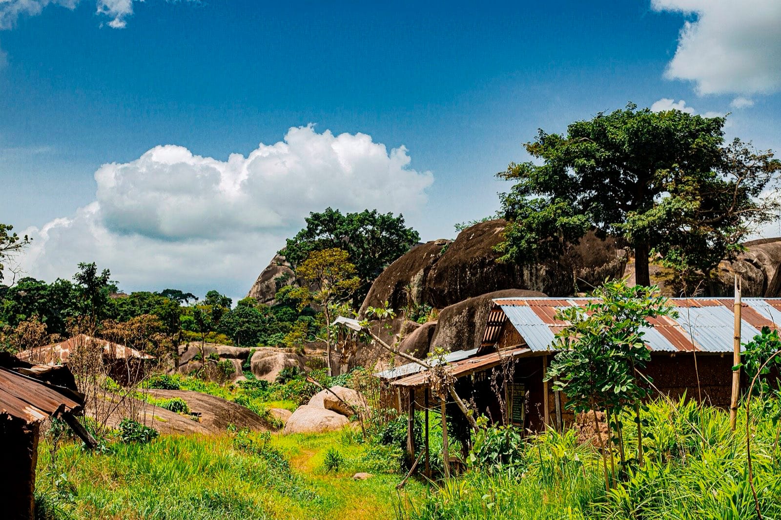A range of high granite domes rising above wooded country.