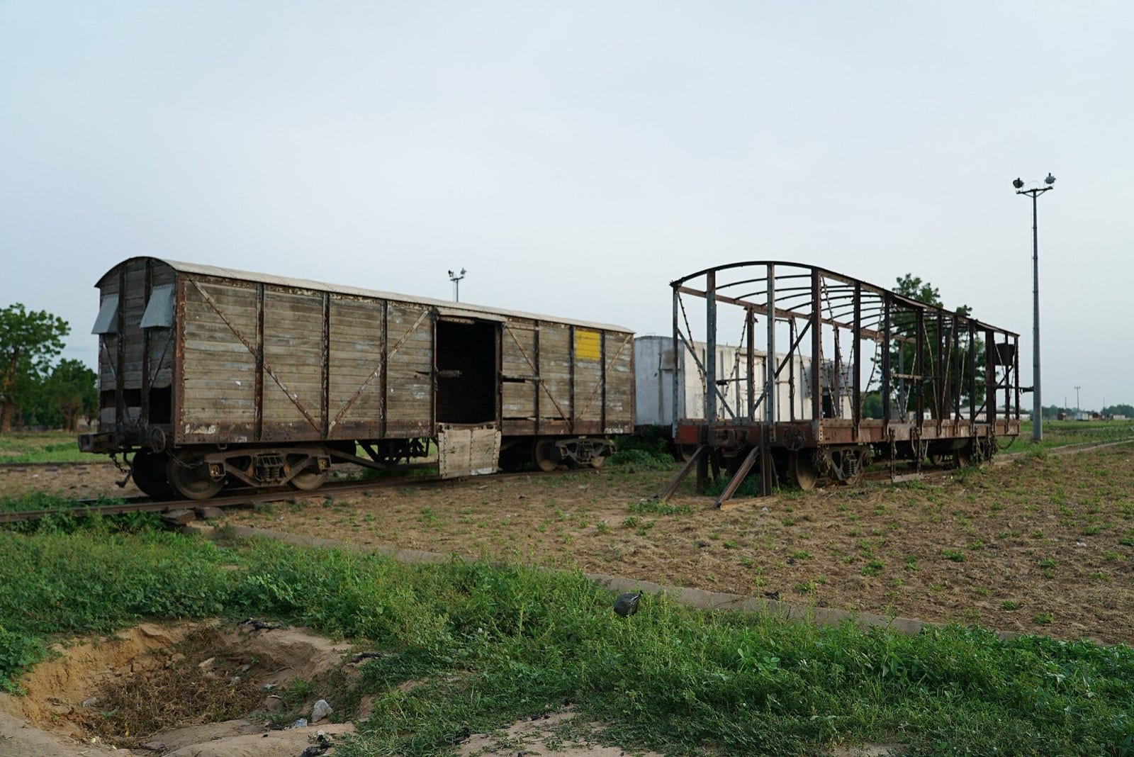 Old railway carriages standing derelict on overgrown track.