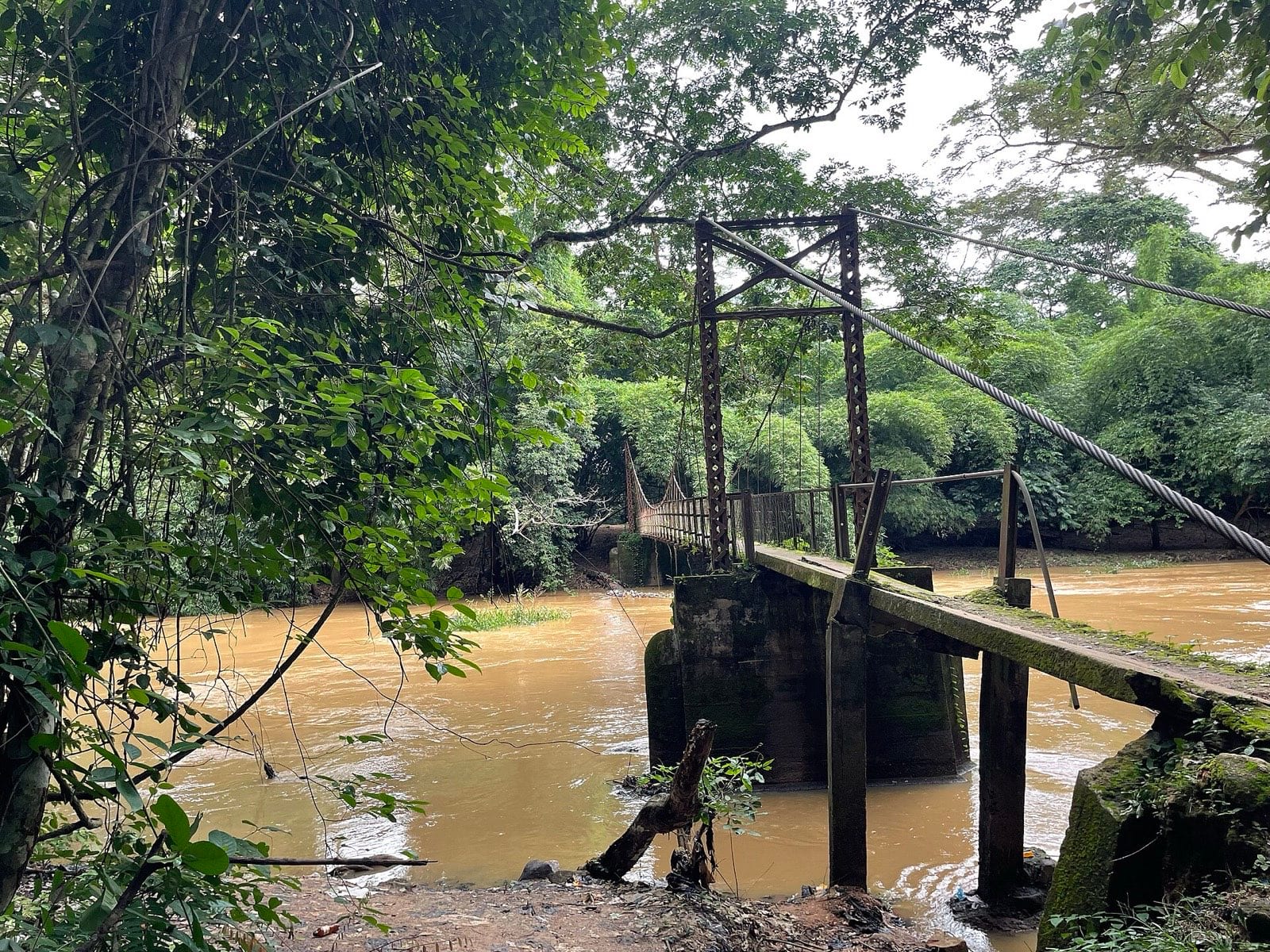 Dense riverine forest with carved shrine figures among the trees.