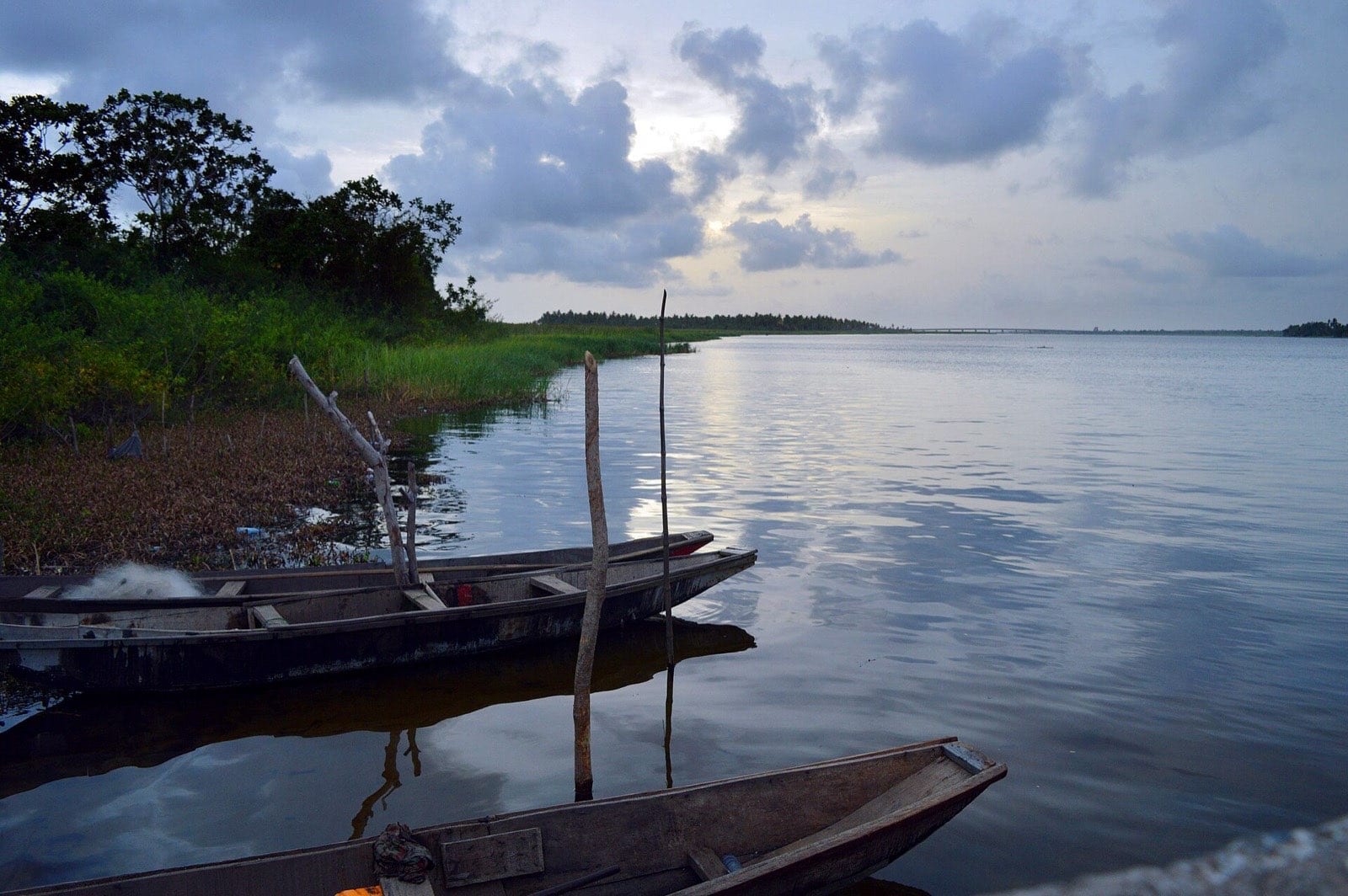 Wooden boats moored together at a lagoon landing.