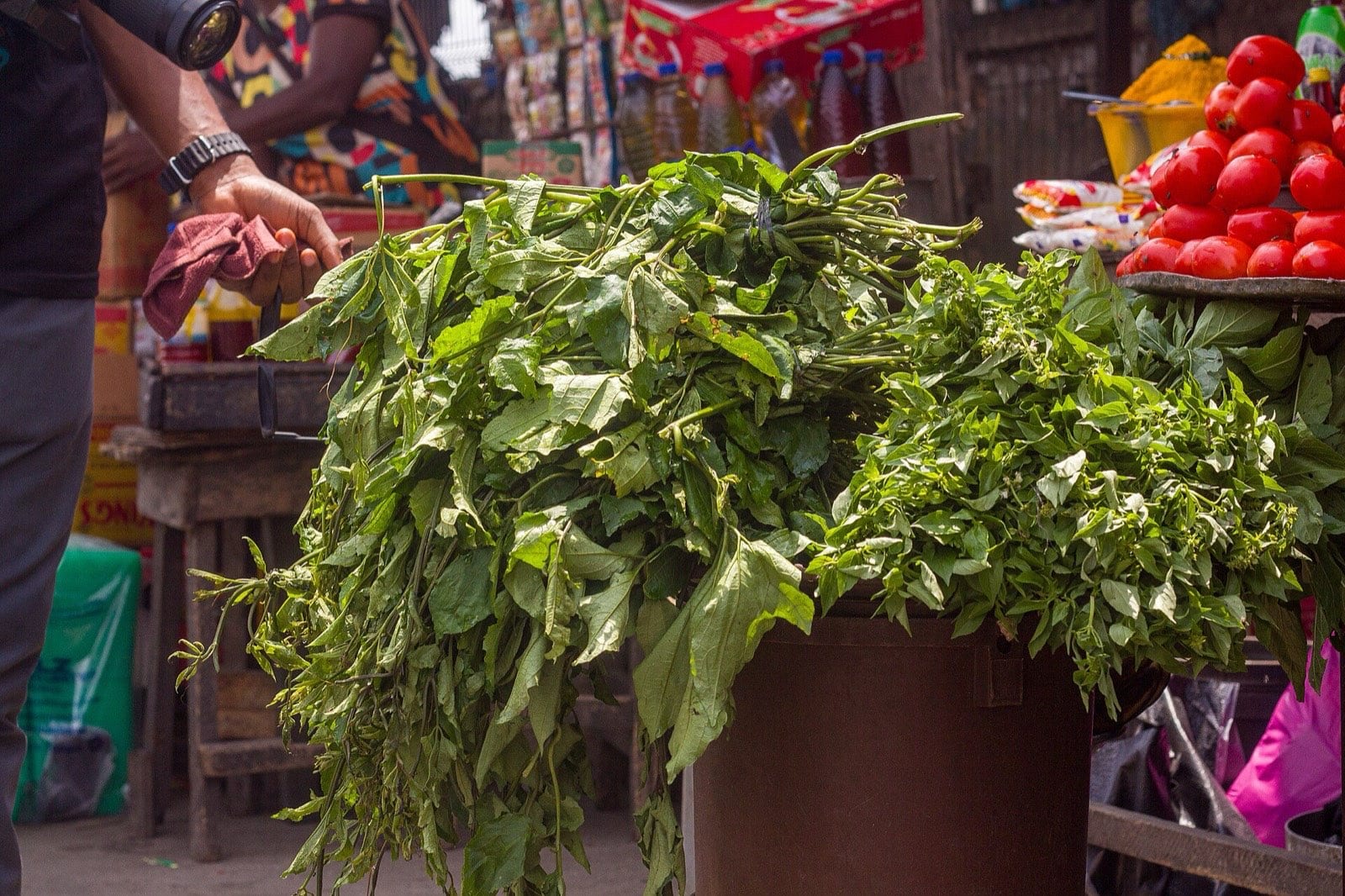 Bunches of fluted pumpkin leaves — ugu — displayed for sale.